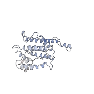 9976_6kgx_AB_v1-1
Structure of the phycobilisome from the red alga Porphyridium purpureum