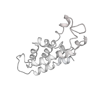 9976_6kgx_AC_v1-1
Structure of the phycobilisome from the red alga Porphyridium purpureum