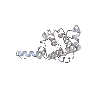 9976_6kgx_AD_v1-1
Structure of the phycobilisome from the red alga Porphyridium purpureum