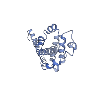 9976_6kgx_AG_v1-1
Structure of the phycobilisome from the red alga Porphyridium purpureum