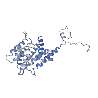 9976_6kgx_AI_v1-1
Structure of the phycobilisome from the red alga Porphyridium purpureum