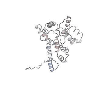 9976_6kgx_AJ_v1-1
Structure of the phycobilisome from the red alga Porphyridium purpureum