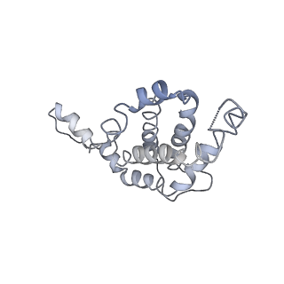 9976_6kgx_B1_v1-1
Structure of the phycobilisome from the red alga Porphyridium purpureum