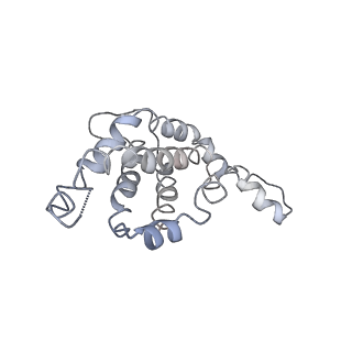 9976_6kgx_B4_v1-1
Structure of the phycobilisome from the red alga Porphyridium purpureum