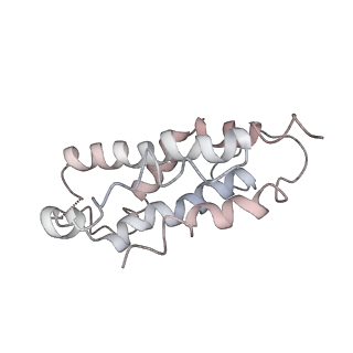 9976_6kgx_B5_v1-1
Structure of the phycobilisome from the red alga Porphyridium purpureum