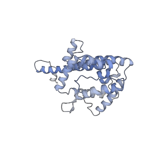 9976_6kgx_B8_v1-1
Structure of the phycobilisome from the red alga Porphyridium purpureum