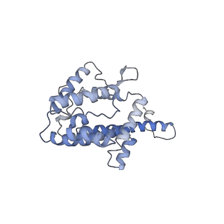 9976_6kgx_BA_v1-1
Structure of the phycobilisome from the red alga Porphyridium purpureum