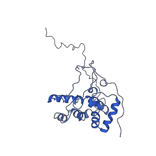 9976_6kgx_BB_v1-1
Structure of the phycobilisome from the red alga Porphyridium purpureum