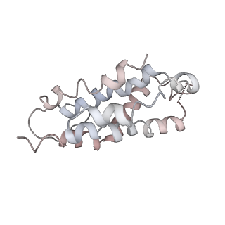 9976_6kgx_BC_v1-1
Structure of the phycobilisome from the red alga Porphyridium purpureum