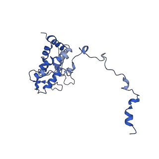 9976_6kgx_BI_v1-1
Structure of the phycobilisome from the red alga Porphyridium purpureum