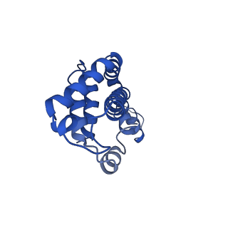 9976_6kgx_C2_v1-1
Structure of the phycobilisome from the red alga Porphyridium purpureum