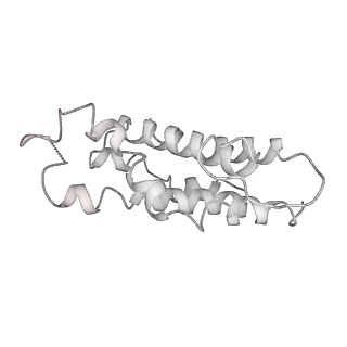 9976_6kgx_C5_v1-1
Structure of the phycobilisome from the red alga Porphyridium purpureum