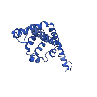 9976_6kgx_C6_v1-1
Structure of the phycobilisome from the red alga Porphyridium purpureum