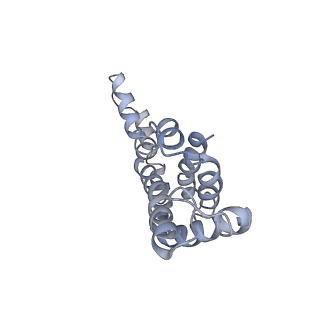 9976_6kgx_C7_v1-1
Structure of the phycobilisome from the red alga Porphyridium purpureum