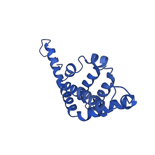 9976_6kgx_CB_v1-1
Structure of the phycobilisome from the red alga Porphyridium purpureum