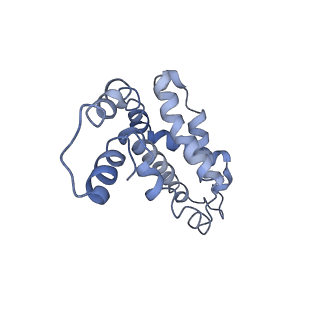 9976_6kgx_CE_v1-1
Structure of the phycobilisome from the red alga Porphyridium purpureum