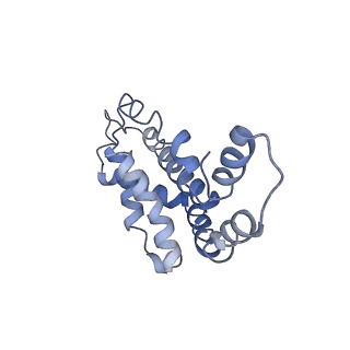 9976_6kgx_CG_v1-1
Structure of the phycobilisome from the red alga Porphyridium purpureum