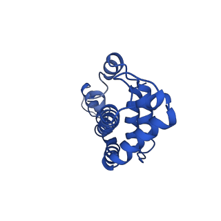 9976_6kgx_CI_v1-1
Structure of the phycobilisome from the red alga Porphyridium purpureum