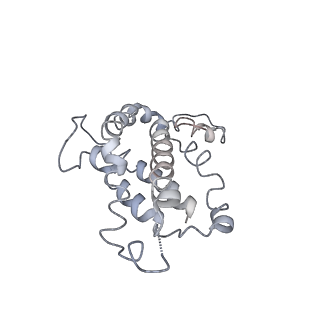 9976_6kgx_D3_v1-1
Structure of the phycobilisome from the red alga Porphyridium purpureum