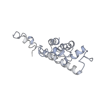 9976_6kgx_D4_v1-1
Structure of the phycobilisome from the red alga Porphyridium purpureum