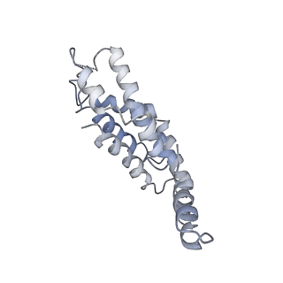 9976_6kgx_D7_v1-1
Structure of the phycobilisome from the red alga Porphyridium purpureum