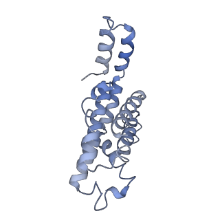9976_6kgx_D8_v1-1
Structure of the phycobilisome from the red alga Porphyridium purpureum