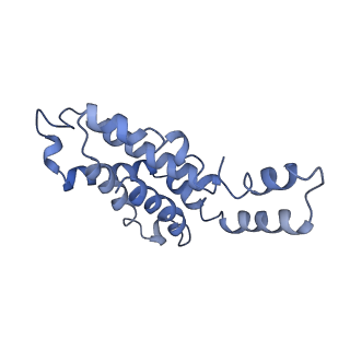 9976_6kgx_D9_v1-1
Structure of the phycobilisome from the red alga Porphyridium purpureum