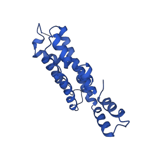 9976_6kgx_DB_v1-1
Structure of the phycobilisome from the red alga Porphyridium purpureum