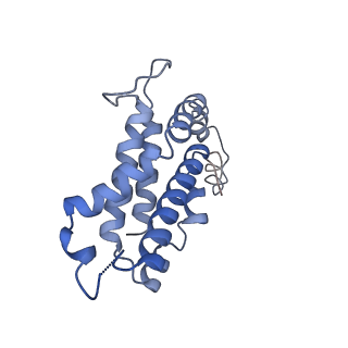 9976_6kgx_DE_v1-1
Structure of the phycobilisome from the red alga Porphyridium purpureum