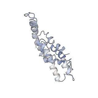 9976_6kgx_DF_v1-1
Structure of the phycobilisome from the red alga Porphyridium purpureum