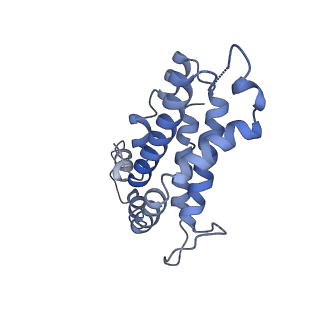 9976_6kgx_DG_v1-1
Structure of the phycobilisome from the red alga Porphyridium purpureum