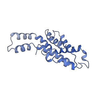 9976_6kgx_DJ_v1-1
Structure of the phycobilisome from the red alga Porphyridium purpureum