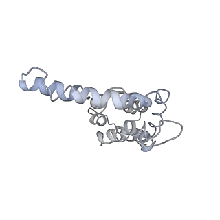 9976_6kgx_E1_v1-1
Structure of the phycobilisome from the red alga Porphyridium purpureum
