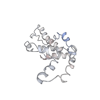 9976_6kgx_E3_v1-1
Structure of the phycobilisome from the red alga Porphyridium purpureum