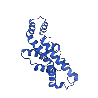9976_6kgx_E6_v1-1
Structure of the phycobilisome from the red alga Porphyridium purpureum