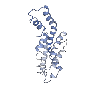 9976_6kgx_E8_v1-1
Structure of the phycobilisome from the red alga Porphyridium purpureum