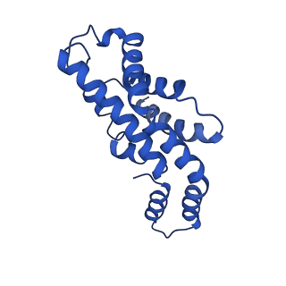 9976_6kgx_EB_v1-1
Structure of the phycobilisome from the red alga Porphyridium purpureum