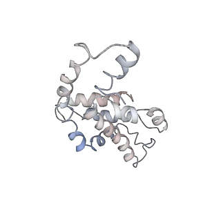 9976_6kgx_ED_v1-1
Structure of the phycobilisome from the red alga Porphyridium purpureum