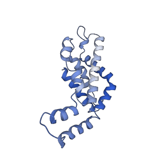 9976_6kgx_EE_v1-1
Structure of the phycobilisome from the red alga Porphyridium purpureum