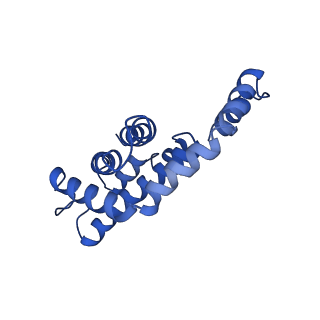 9976_6kgx_EH_v1-1
Structure of the phycobilisome from the red alga Porphyridium purpureum