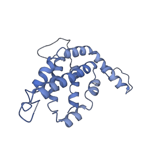 9976_6kgx_EJ_v1-1
Structure of the phycobilisome from the red alga Porphyridium purpureum