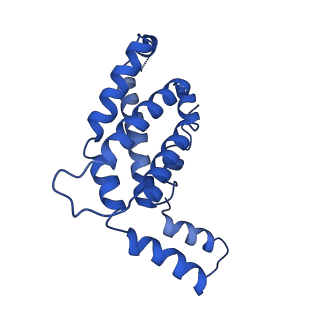 9976_6kgx_F2_v1-1
Structure of the phycobilisome from the red alga Porphyridium purpureum