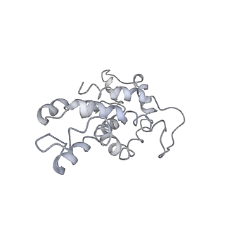 9976_6kgx_F3_v1-1
Structure of the phycobilisome from the red alga Porphyridium purpureum