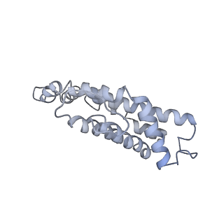 9976_6kgx_F4_v1-1
Structure of the phycobilisome from the red alga Porphyridium purpureum