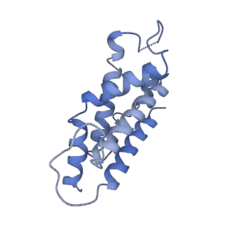 9976_6kgx_F5_v1-1
Structure of the phycobilisome from the red alga Porphyridium purpureum