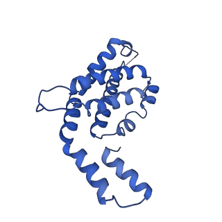 9976_6kgx_F6_v1-1
Structure of the phycobilisome from the red alga Porphyridium purpureum
