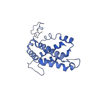 9976_6kgx_FA_v1-1
Structure of the phycobilisome from the red alga Porphyridium purpureum