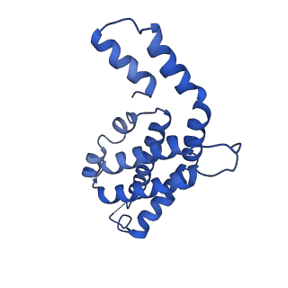9976_6kgx_FB_v1-1
Structure of the phycobilisome from the red alga Porphyridium purpureum