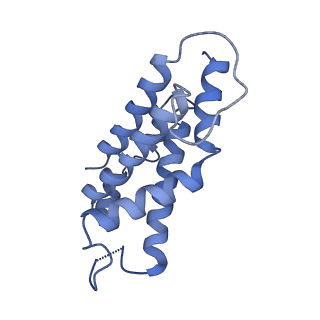 9976_6kgx_FC_v1-1
Structure of the phycobilisome from the red alga Porphyridium purpureum