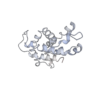 9976_6kgx_FD_v1-1
Structure of the phycobilisome from the red alga Porphyridium purpureum